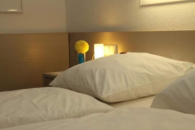 Hotel Und Gasthof Zur Laute Миндельхайм Экстерьер фото